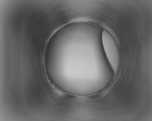 X0000072961473200607210952