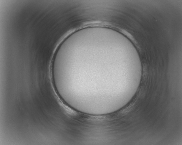 X0000072961474200607210952