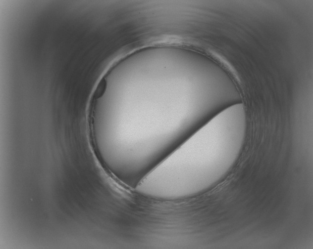 X0000072961475200607210952