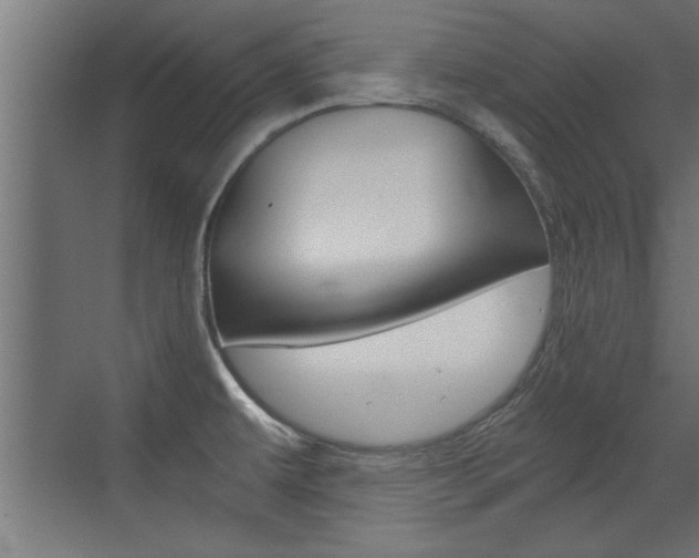 X0000072961479200607210952