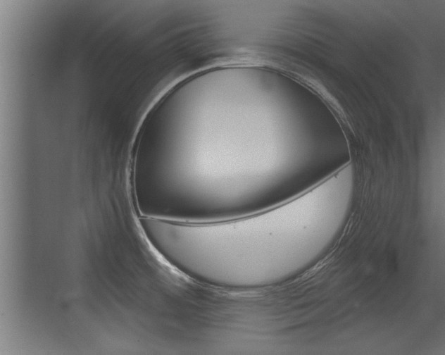 X0000072961484200607210952
