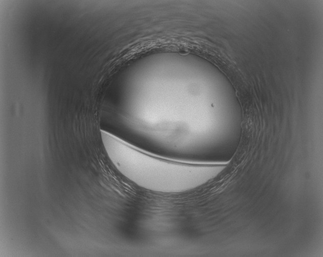 X0000072961490200607210951