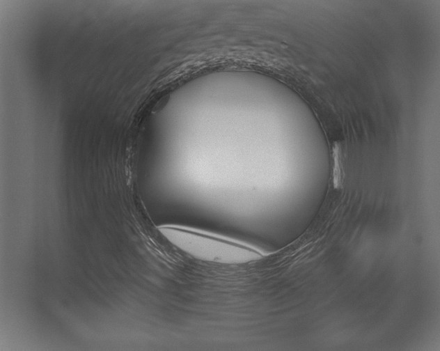 X0000072961491200607210951