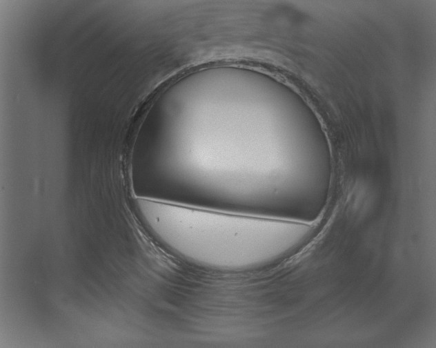 X0000072961497200607210951