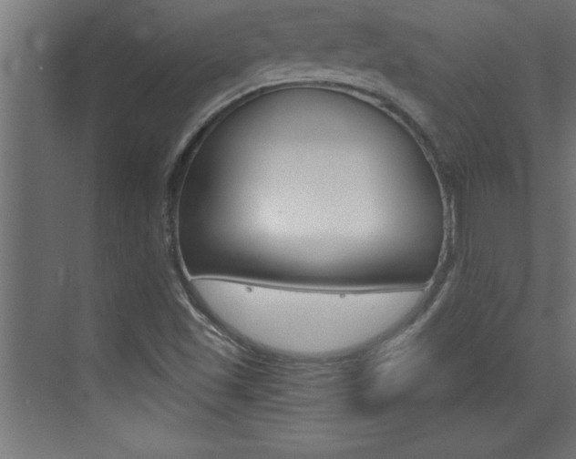 X0000072961501200607210951