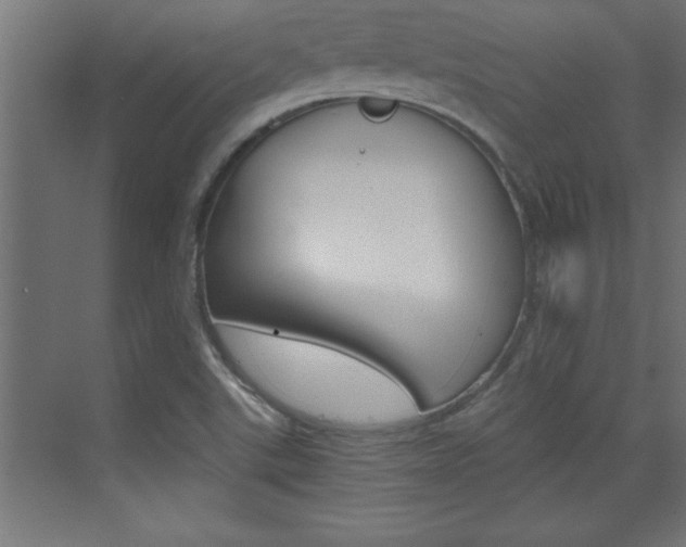 X0000072961507200607210951