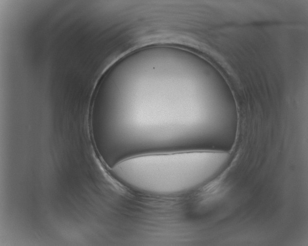 X0000072961513200607210951