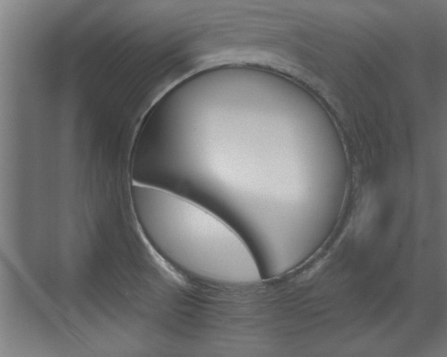 X0000072961521200607210951
