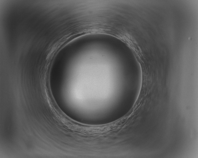 X0000072960001200607211209