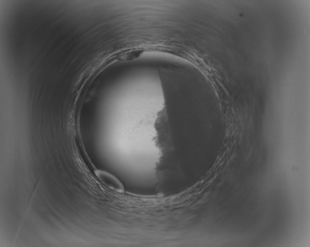 X0000072960002200607211209