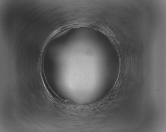 X0000072960003200607211209