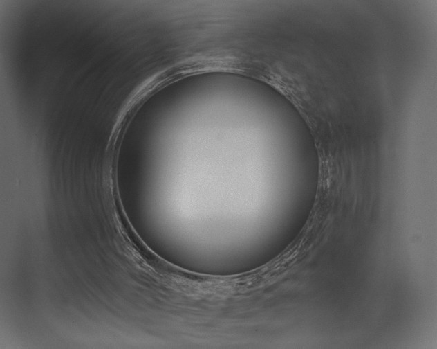 X0000072960004200607211209