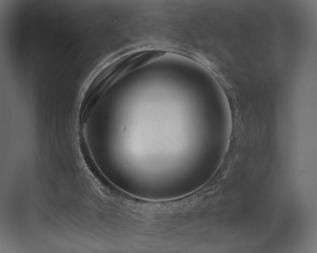 X0000072960007200607211209