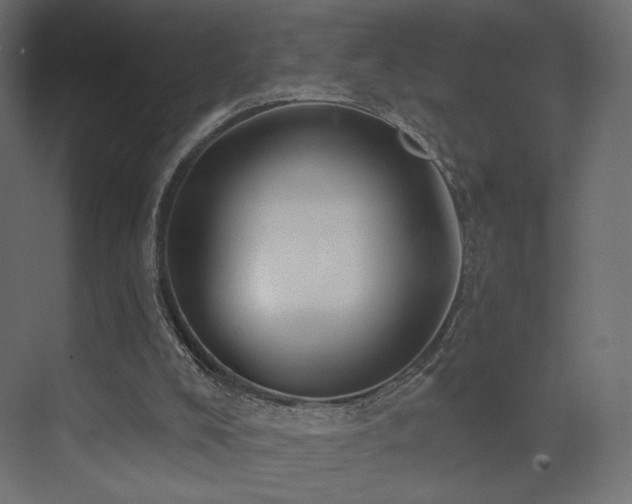 X0000072960008200607211209