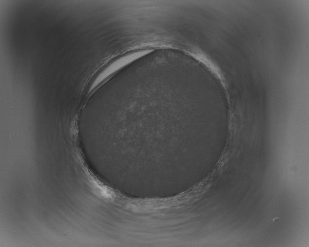 X0000072960009200607211209