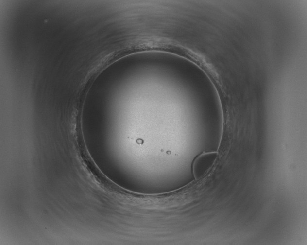 X0000072960010200607211209