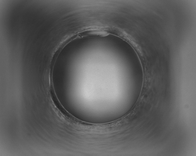 X0000072960011200607211209