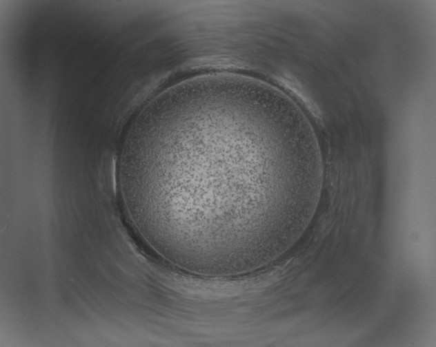 X0000072960014200607211209