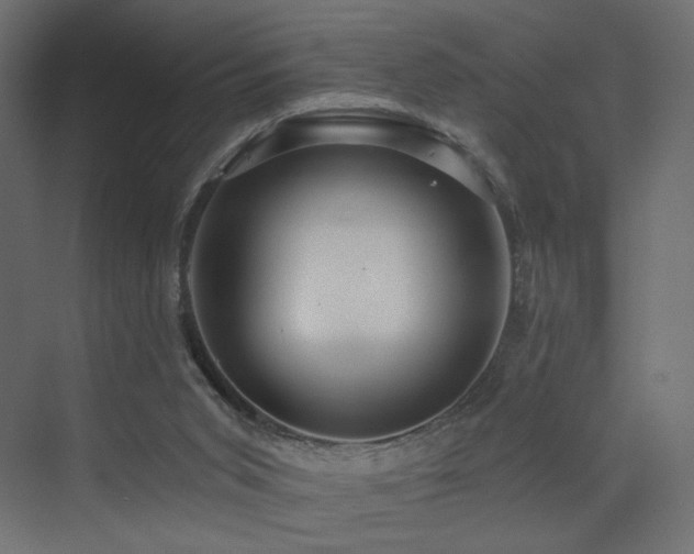 X0000072960015200607211209