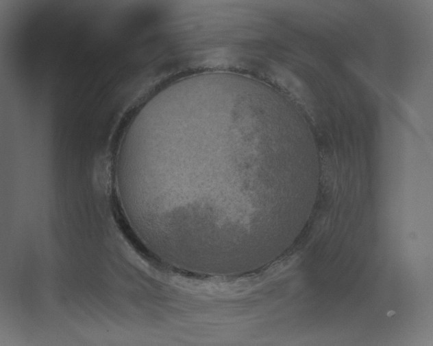 X0000072960016200607211209