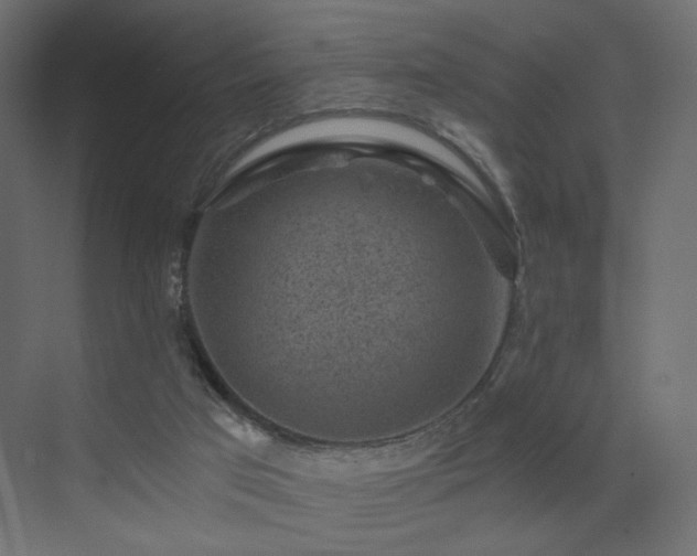 X0000072960017200607211209