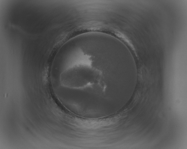 X0000072960018200607211209