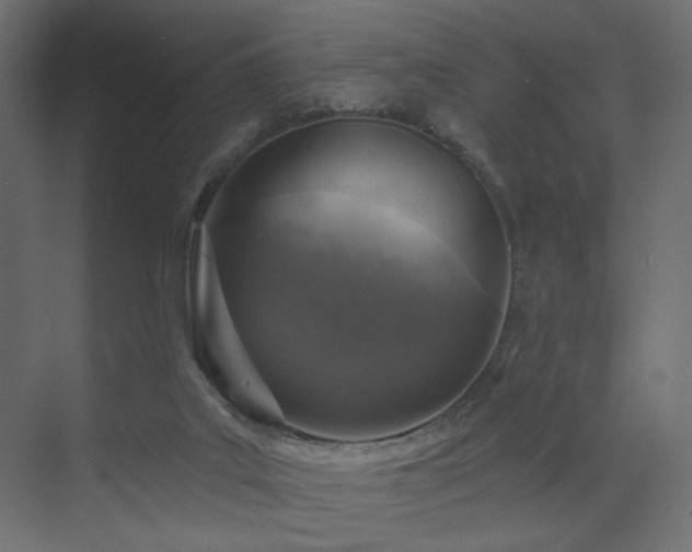 X0000072960019200607211209