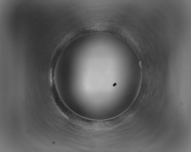 X0000072960020200607211209