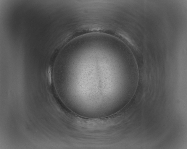 X0000072960022200607211209