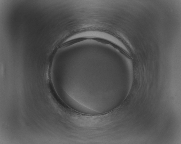 X0000072960023200607211209