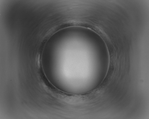 X0000072960024200607211209