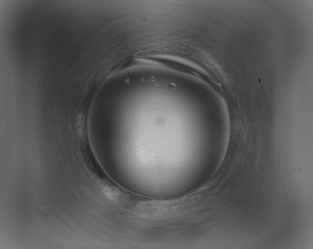 X0000072960025200607211209