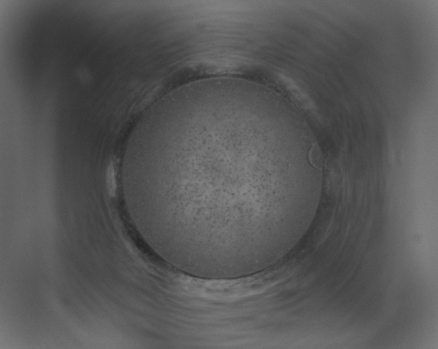 X0000072960026200607211209