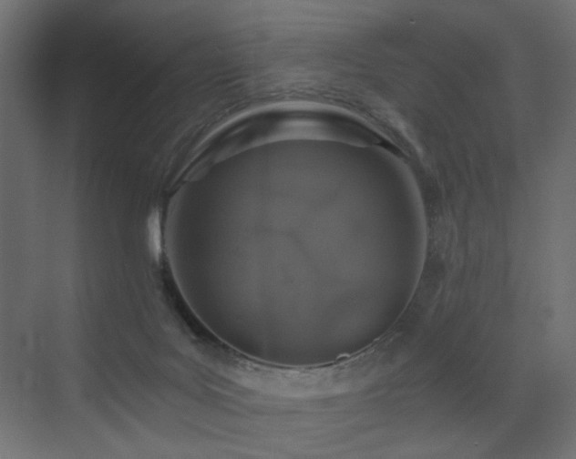 X0000072960027200607211209