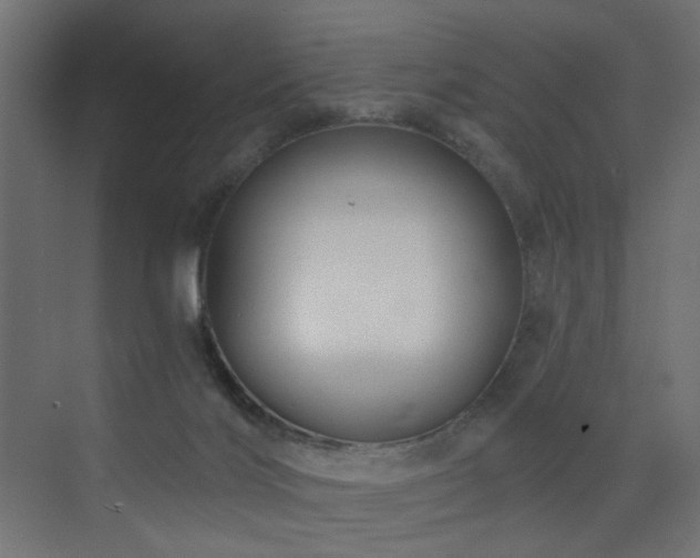 X0000072960028200607211209