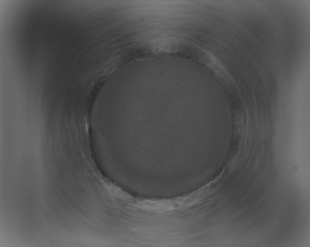 X0000072960029200607211209