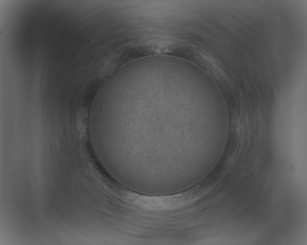 X0000072960030200607211209