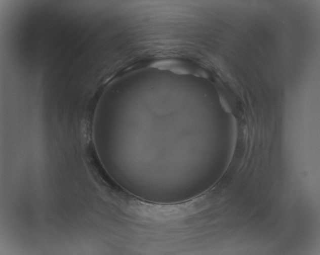 X0000072960031200607211209