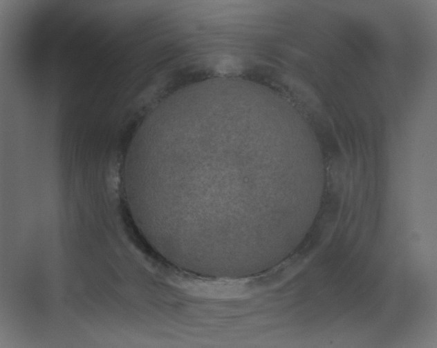 X0000072960032200607211209