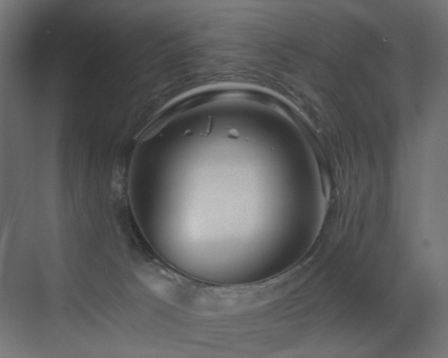 X0000072960033200607211209