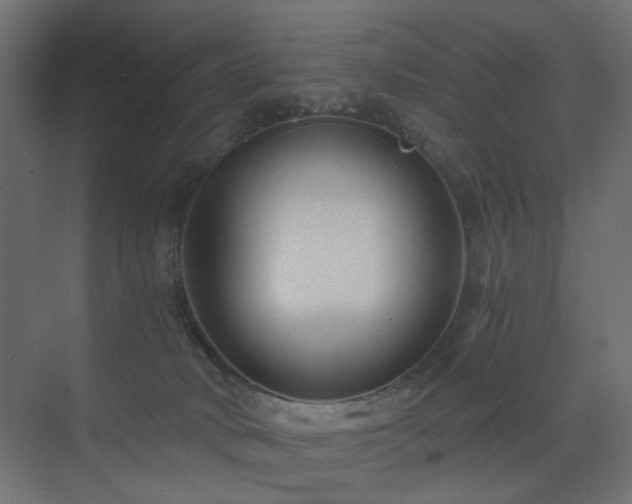 X0000072960034200607211209