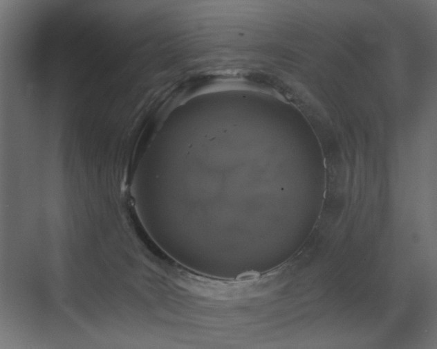 X0000072960035200607211209