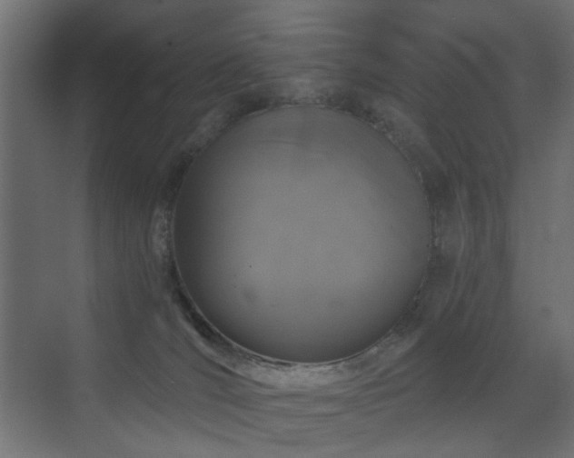 X0000072960036200607211209