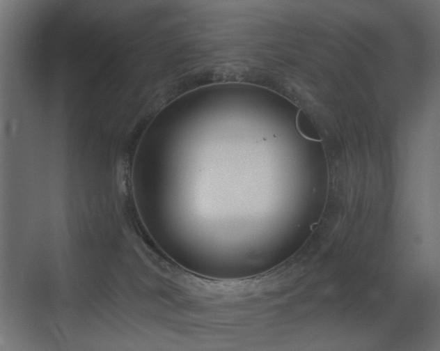 X0000072960038200607211209