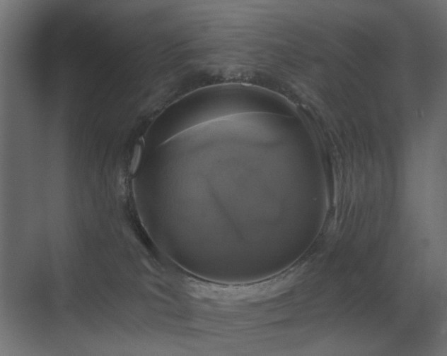 X0000072960039200607211209