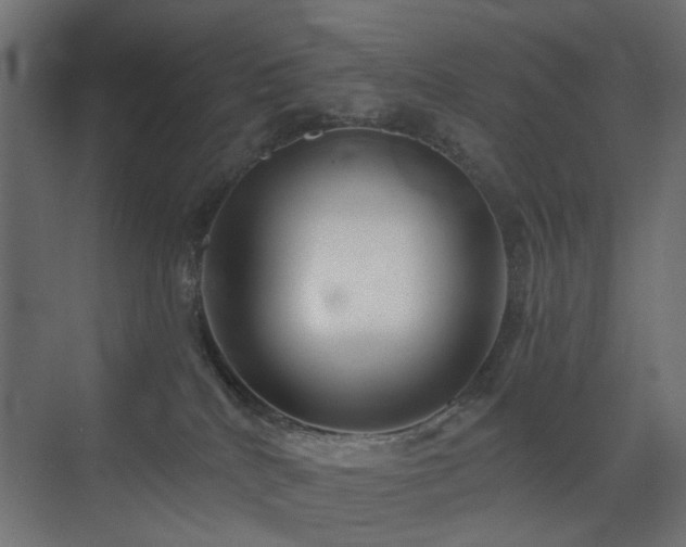 X0000072960040200607211209