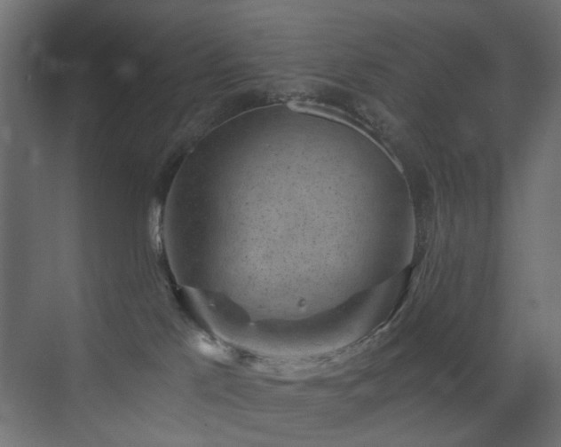 X0000072960041200607211209