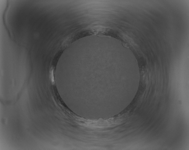 X0000072960042200607211209