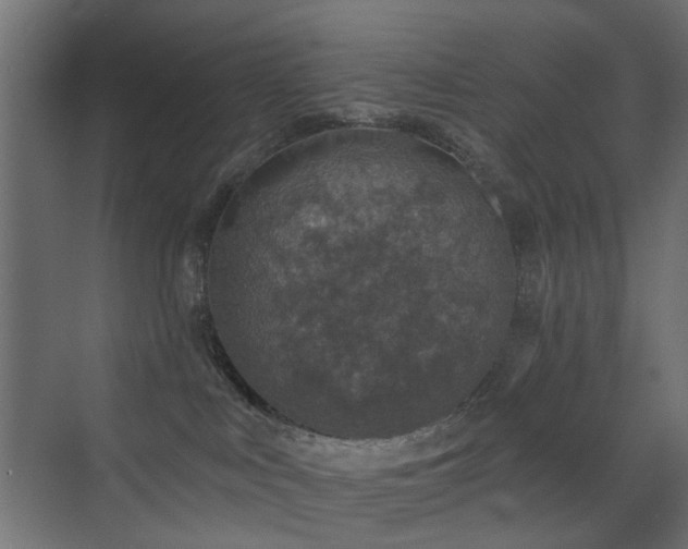 X0000072960043200607211209