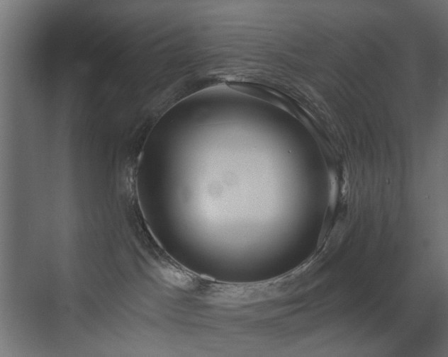 X0000072960045200607211209